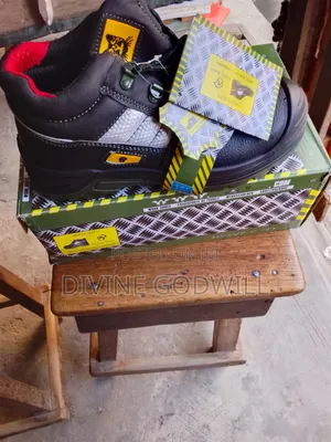Cat Safety Boot