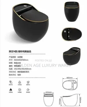 Black One-Piece Executive Wc