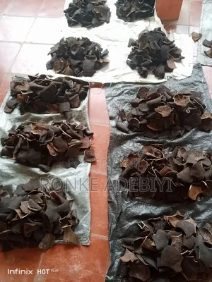 Ijebu Ponmo