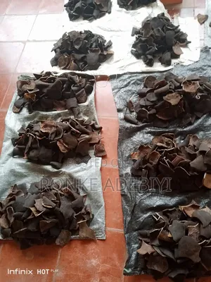 Ijebu Ponmo