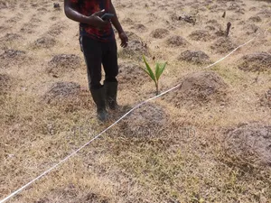 Farm Set Up, Management Consultancy Services. Farm With Ease Service