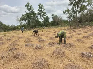 Farm Set Up, Management Consultancy Services. Farm With Ease Service