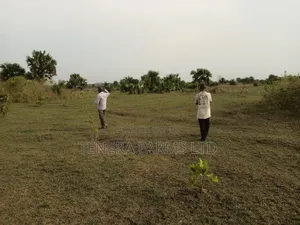 Farm Set Up, Management Consultancy Services. Farm With Ease Service