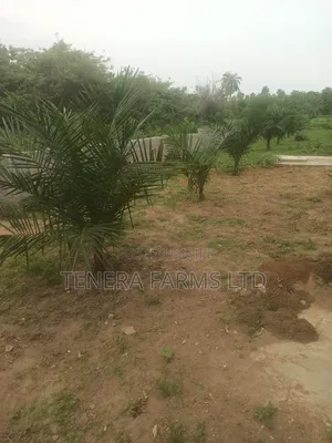 Farm Set Up, Management Consultancy Services. Farm With Ease Service