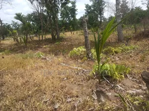 Farm Set Up, Management Consultancy Services. Farm With Ease Service
