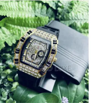 Richarmili X Sourwnd Ice Watch – Luxury Edition