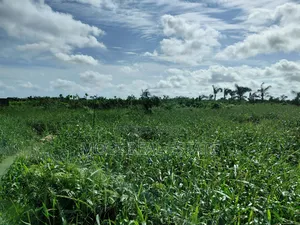 Full Plot Facing Ishefun Rd Ayobo Fenced Gated