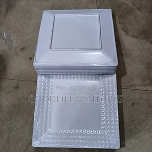 1dozen of Unbreakable Melamine Plate