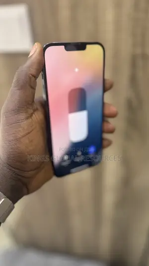 Apple iPhone 13 Pro Max 128 GB Gray
