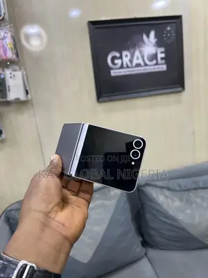 Samsung Galaxy Z Flip6 256 GB Silver