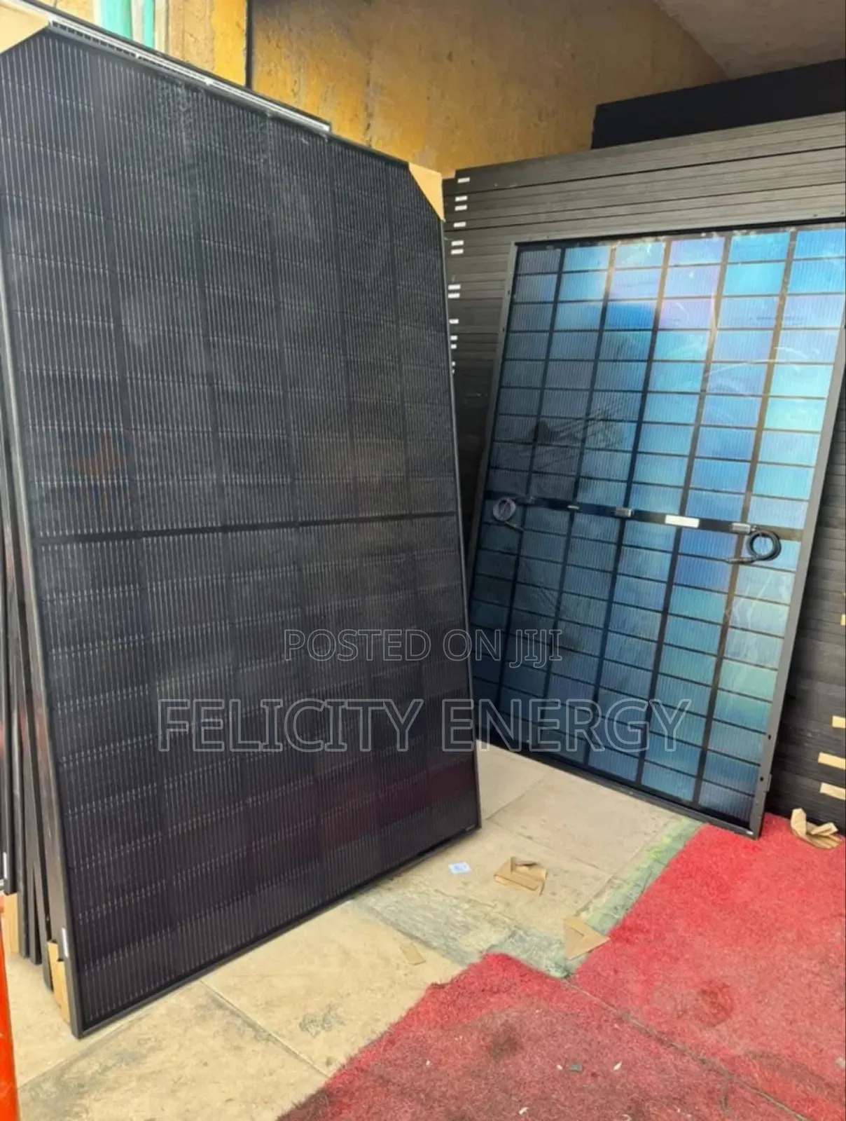 555watt Jinko Bifacial Solar Panel All Black