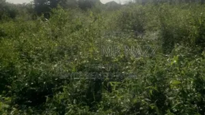 Half Plot of Land for Sale at Waasinmi, Ewekoro.