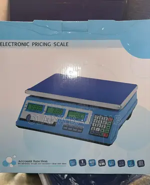Electronic Pricing Scale 40kg – Accurate Reliable Digital Scale