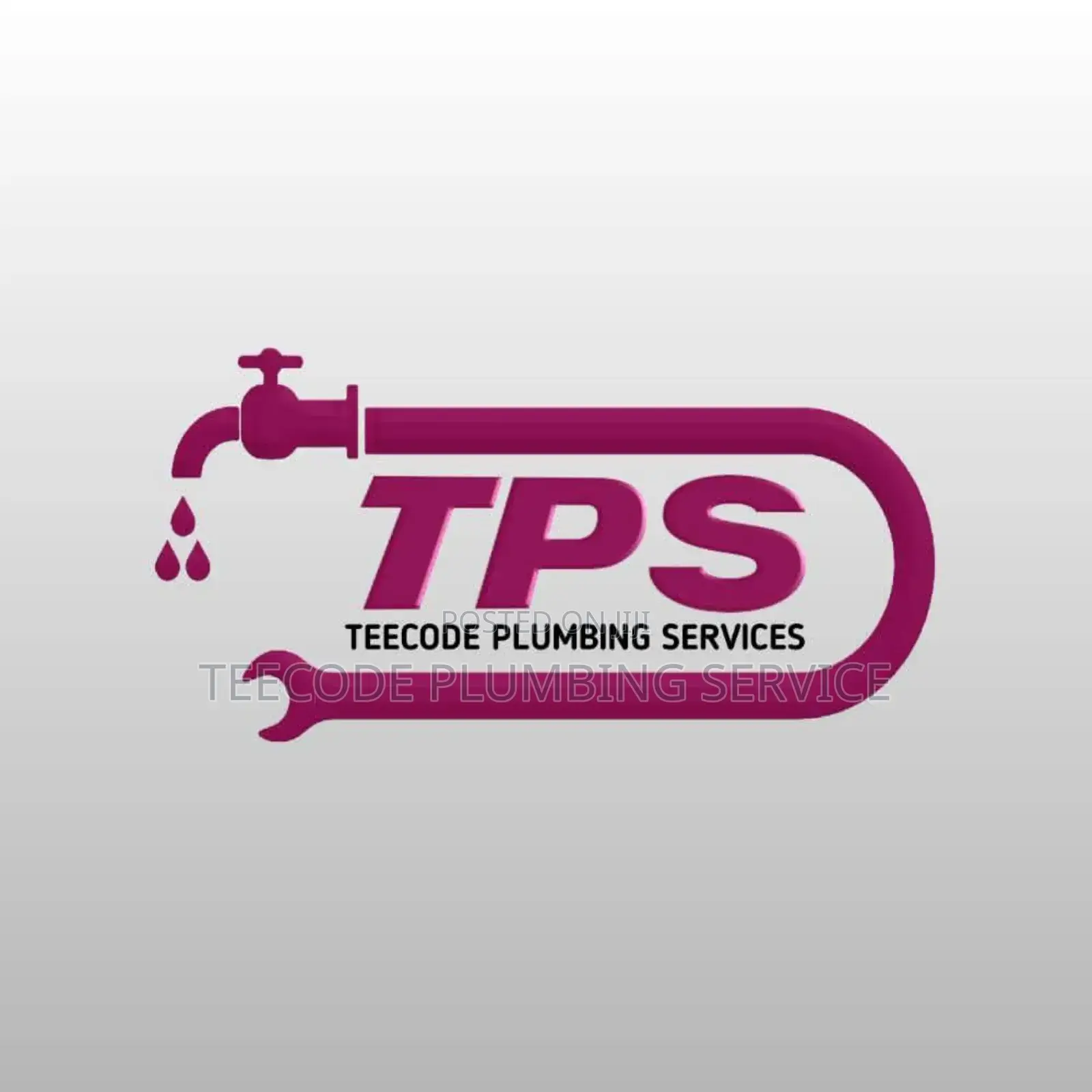 Professional Plumbing Service