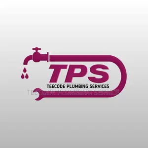 Professional Plumbing Service
