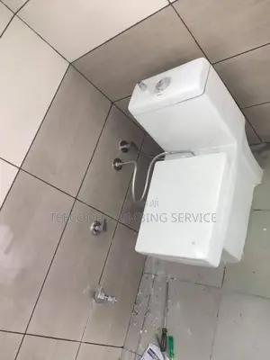 Professional Plumbing Service