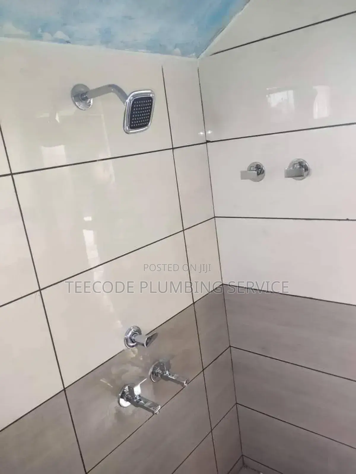 Professional Plumbing Service