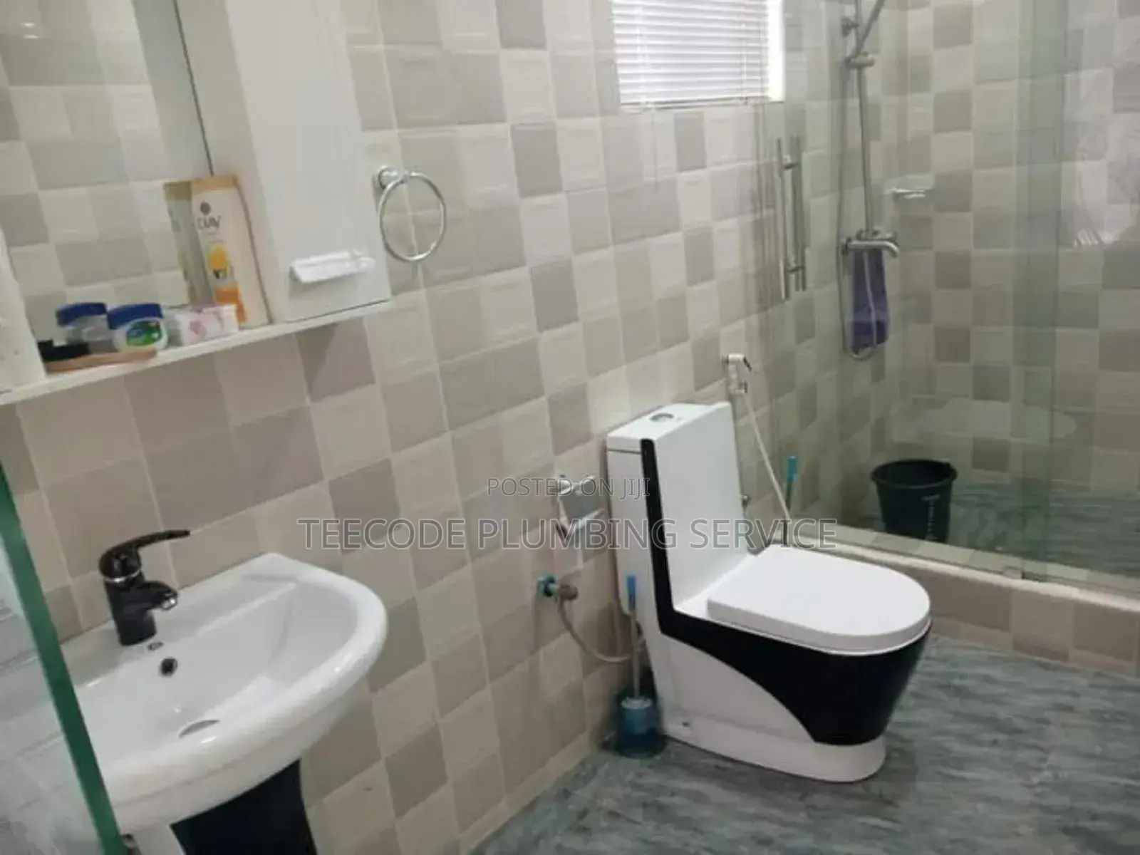 Professional Plumbing Service