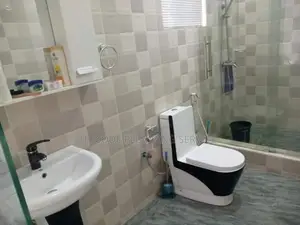 Professional Plumbing Service