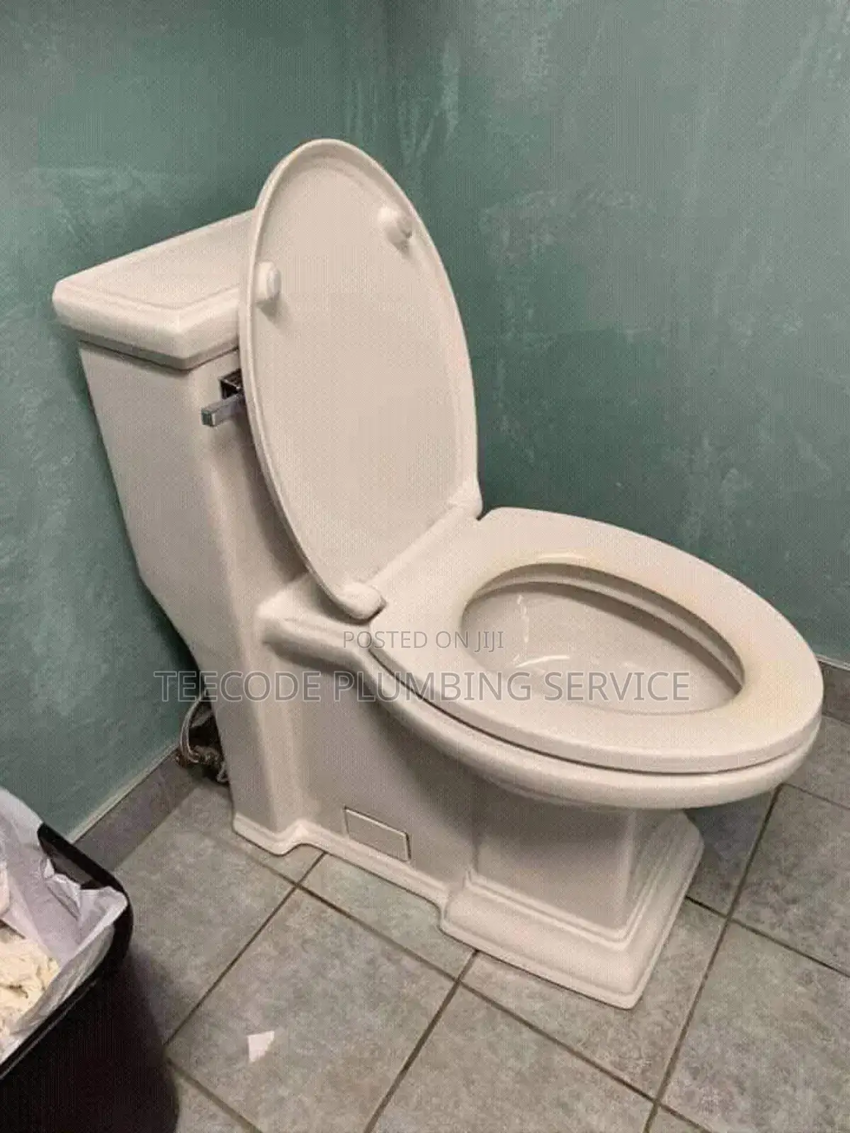 Professional Plumbing Service