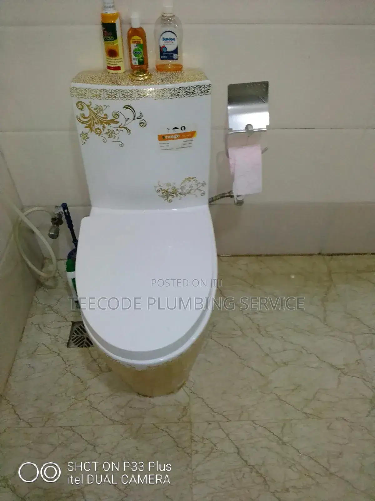 Professional Plumbing Service
