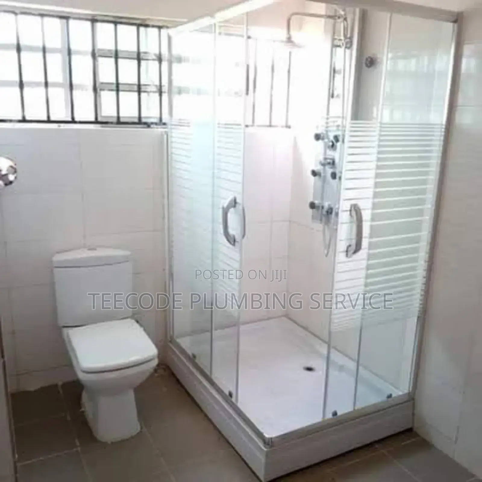 Professional Plumbing Service