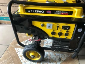 Elepaq Generator With Timer