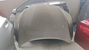 Lexus Rx 350 2018 Model Bonnet Neat One