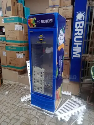 Single Door Snowsea Chiller Lc-300