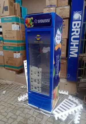 Single Door Snowsea Chiller