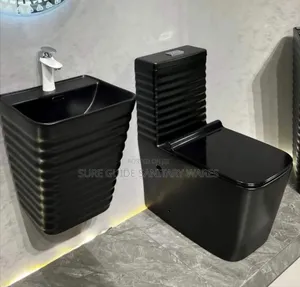 Black Watercloset With Suspended Wash Hand Basin