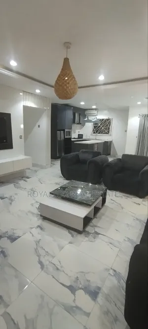 Fully Furnished 3 Bedroom Apartment Usa Standard