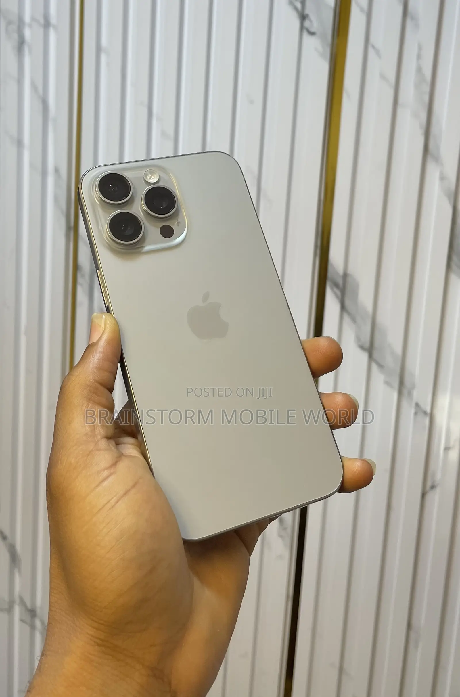 Apple iPhone 15 Pro Max 256 GB Gray