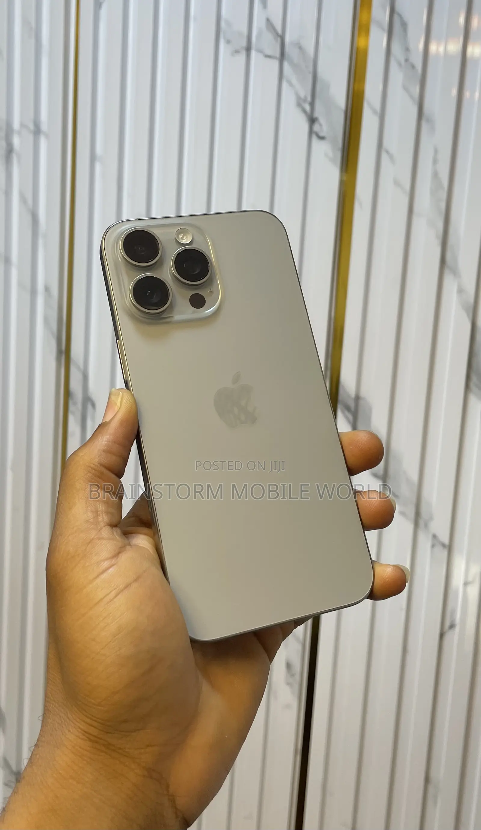 Apple iPhone 15 Pro Max 256 GB Gray