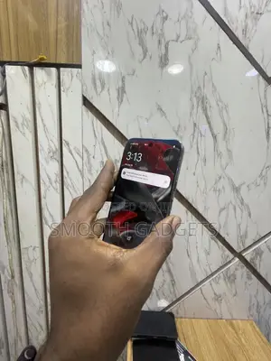 Google Pixel 9 Pro XL 256 GB Gray