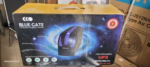 Blue Gate Ups
