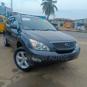 Lexus RX 330 2006 Gray