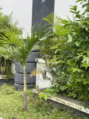 4bdrm Duplex in Life Camp for sale