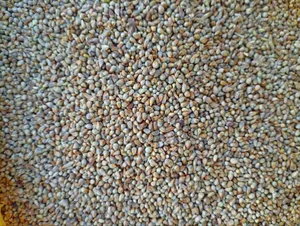 Millet Pack Per Kg