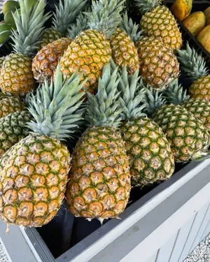 10piece Sweet Queen Big Size Pineapple