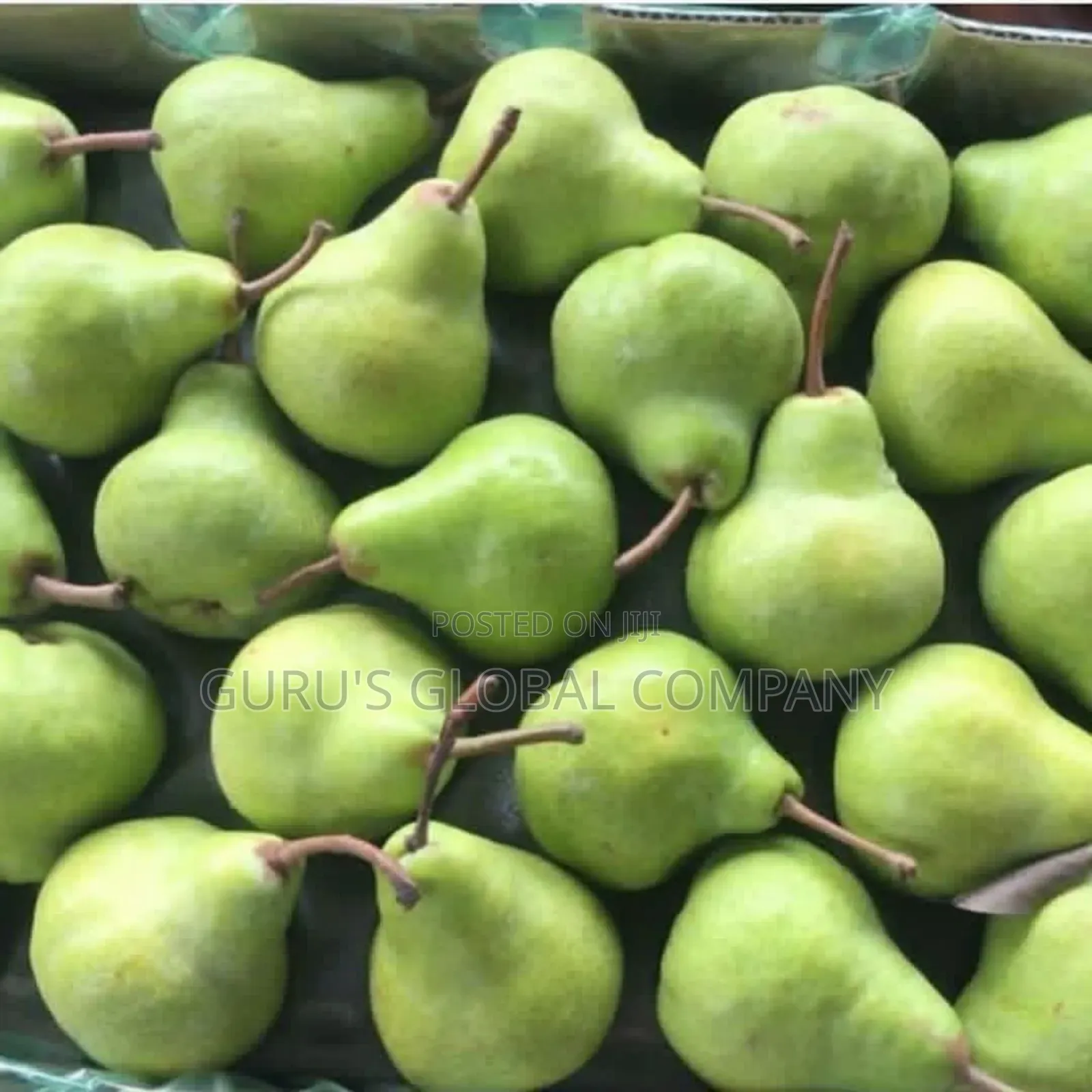 Pear Fruit