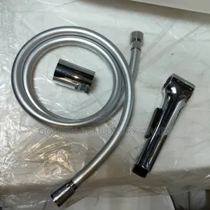 Silver Color Hand Held Shower