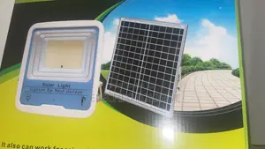 Solar and Flood Light