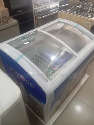 High Quality Restpoint 300l Display Freezer for Ice Cream Warranty
