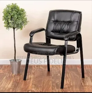 Visitors Chairs