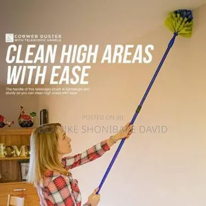 Telescopic Cobweb Brush