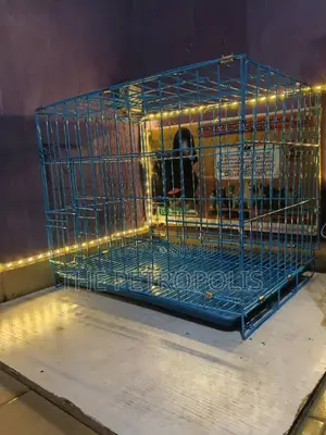 Collapsible Dog Crate