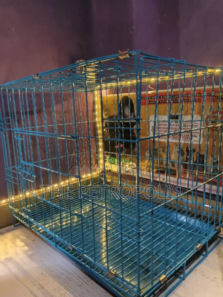 Collapsible Dog Cage