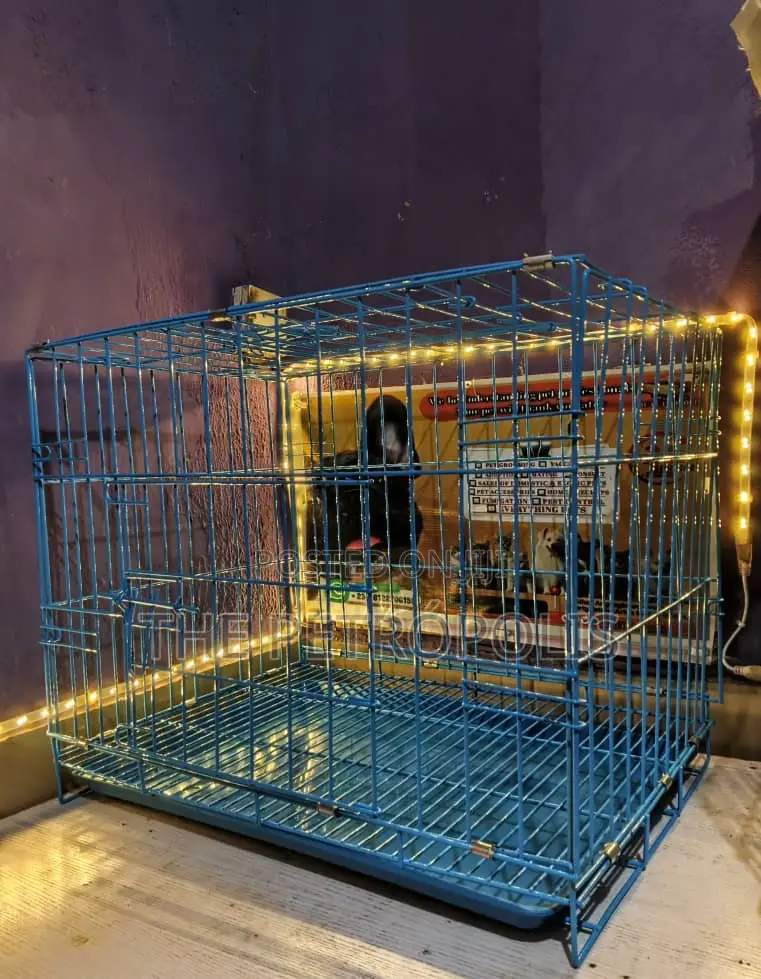 Collapsible Dog Cage