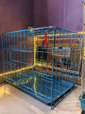 Collapsible Dog Cage